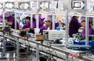 减税降费助力江西新余中小企业迈向快车道——网站建设为发展添翼