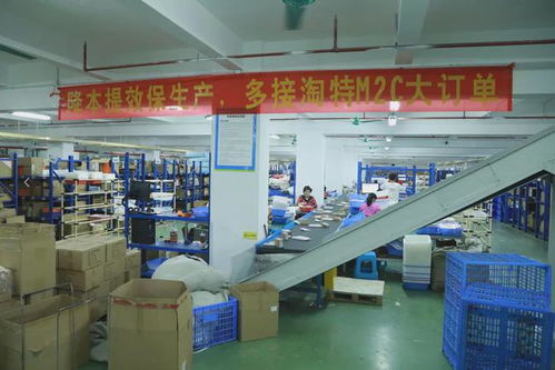 阿里M2C模式再发力 加码淘特与淘菜菜，深耕下沉市场赋能江西中小企业网站建设